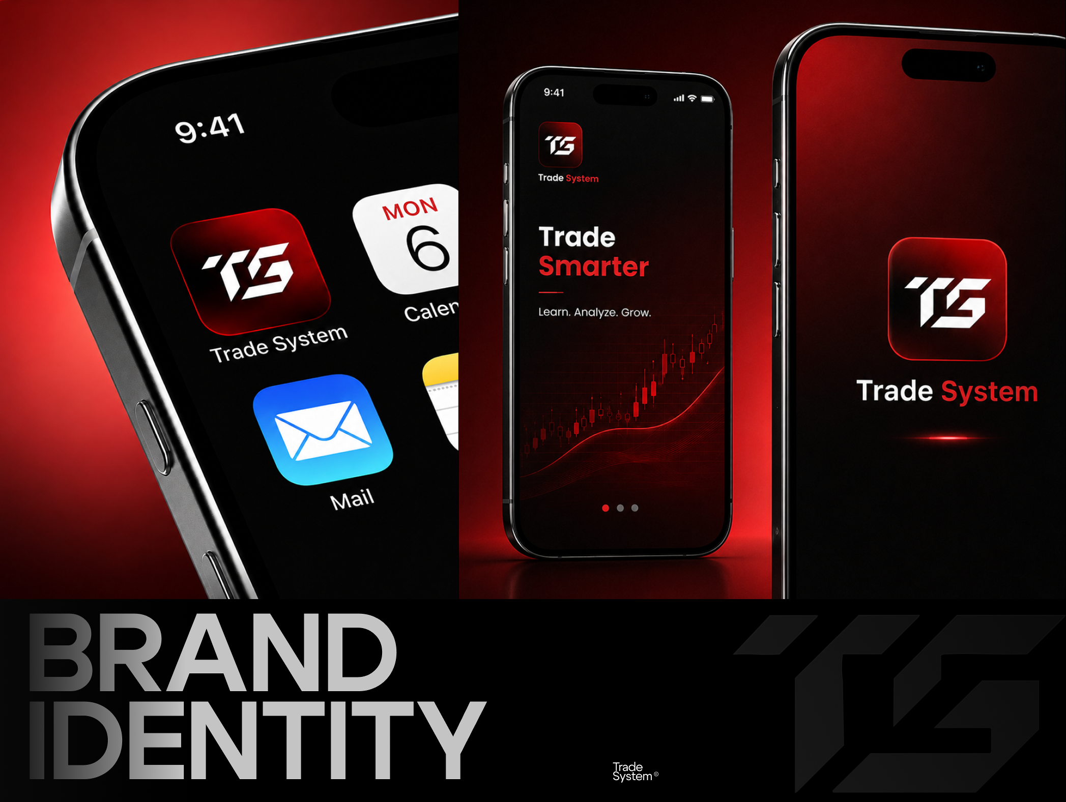 BRAND IDENTITY FOR TRADE SYSTEM