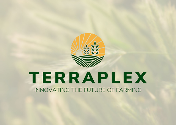 Advertising creatives for the Nutra vertical